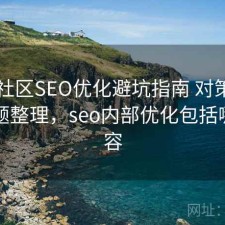 内容社区SEO优化避坑指南 对策与常见问题整理，seo内部优化包括哪些内容
