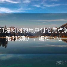 关于51爆料网的用户讨论焦点解析（第313期），爆料下载