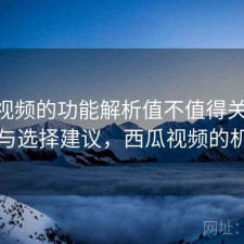 西瓜视频的功能解析值不值得关注 方案与选择建议，西瓜视频的机制