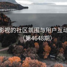 番茄影视的社区氛围与用户互动研究（第4648期）