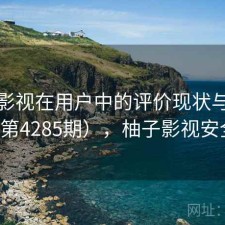 柚子影视在用户中的评价现状与变化（第4285期），柚子影视安全吗
