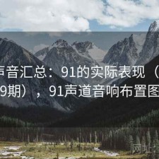 用户声音汇总：91的实际表现（第4949期），91声道音响布置图