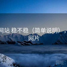 蘑菇网站 稳不稳（简单说明），蘑菇网片