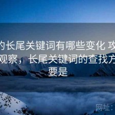 17c的长尾关键词有哪些变化 攻略与趋势观察，长尾关键词的查找方法主要是