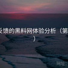 基于反馈的黑料网体验分析（第607期）