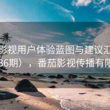 番茄影视用户体验蓝图与建议汇总（第1336期），番茄影视传播有限公司