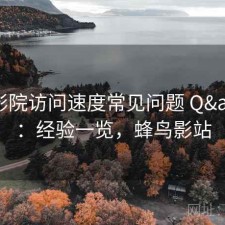 蜂鸟影院访问速度常见问题 Q&A：经验一览，蜂鸟影站