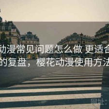 樱花动漫常见问题怎么做 更适合新手的复盘，樱花动漫使用方法