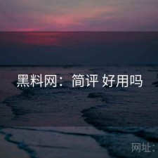 黑料网：简评 好用吗