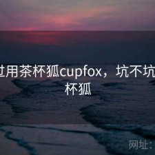 折腾过用茶杯狐cupfox，坑不坑，n茶杯狐