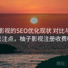 柚子影视的SEO优化现状 对比与用户关注点，柚子影视注册收费吗
