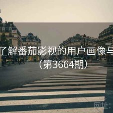 深入了解番茄影视的用户画像与偏好（第3664期）