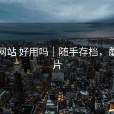 蘑菇网站 好用吗｜随手存档，蘑菇网片