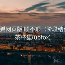 茶杯狐网页版 顺不顺（阶段结论），茶杯狐(upfox)