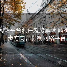 影视网站平台测评趋势解读 解析与下一步方向，影视网络平台