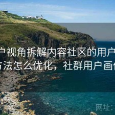 从用户视角拆解内容社区的用户画像 方法怎么优化，社群用户画像