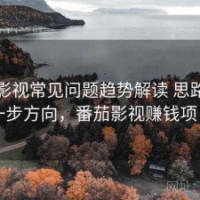 番茄影视常见问题趋势解读 思路与下一步方向，番茄影视赚钱项目