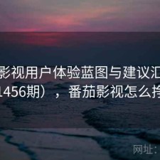 番茄影视用户体验蓝图与建议汇总（第1456期），番茄影视怎么挣钱