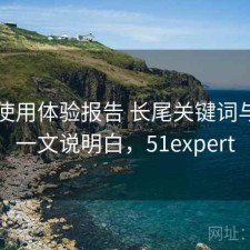51网使用体验报告 长尾关键词与观察一文说明白，51expert