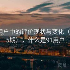 91在用户中的评价现状与变化（第4805期），什么是91用户