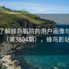 深入了解蜂鸟影院的用户画像与偏好（第3804期），蜂鸟影站