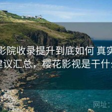 樱花影院收录提升到底如何 真实反馈与建议汇总，樱花影视是干什么的