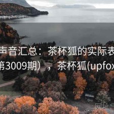 用户声音汇总：茶杯狐的实际表现（第3009期），茶杯狐(upfox)