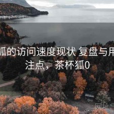 茶杯狐的访问速度现状 复盘与用户关注点，茶杯狐0