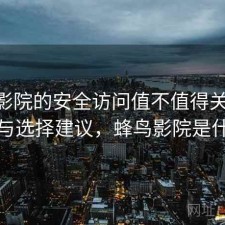 蜂鸟影院的安全访问值不值得关注 方案与选择建议，蜂鸟影院是什么