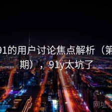 关于91的用户讨论焦点解析（第4493期），91y太坑了