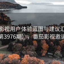 番茄影视用户体验蓝图与建议汇总（第3976期），番茄影视邀请