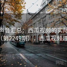 用户声音汇总：西瓜视频的实际表现（第2249期），西瓜视频建议