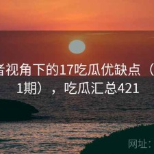 使用者视角下的17吃瓜优缺点（第1611期），吃瓜汇总421