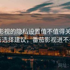 番茄影视的隐私设置值不值得关注 总结与选择建议，番茄影视进不去了