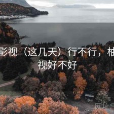 柚子影视（这几天）行不行，柚子影视好不好