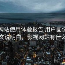影视网站使用体验报告 用户画像与清单一文说明白，影视网站有什么风险
