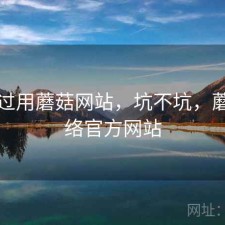 折腾过用蘑菇网站，坑不坑，蘑菇网络官方网站