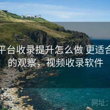 视频平台收录提升怎么做 更适合新手的观察，视频收录软件