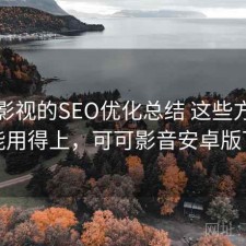 可可影视的SEO优化总结 这些方法你可能用得上，可可影音安卓版下载