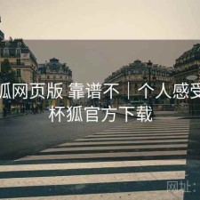 茶杯狐网页版 靠谱不｜个人感受，茶杯狐官方下载