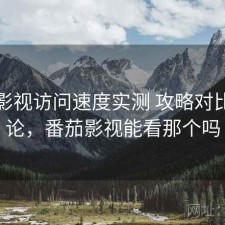 番茄影视访问速度实测 攻略对比与结论，番茄影视能看那个吗