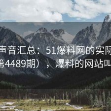 用户声音汇总：51爆料网的实际表现（第4489期），爆料的网站叫什么