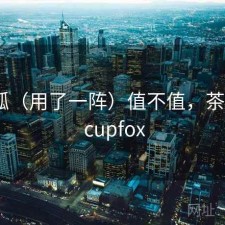 茶杯狐（用了一阵）值不值，茶杯狐 - cupfox