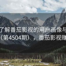深入了解番茄影视的用户画像与偏好（第4504期），番茄影视赚钱