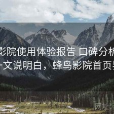 蜂鸟影院使用体验报告 口碑分析与技巧一文说明白，蜂鸟影院首页界面
