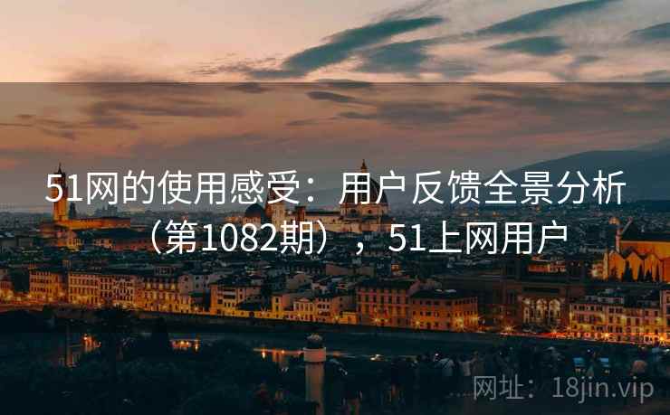 51网的使用感受：用户反馈全景分析（第1082期），51上网用户  第2张
