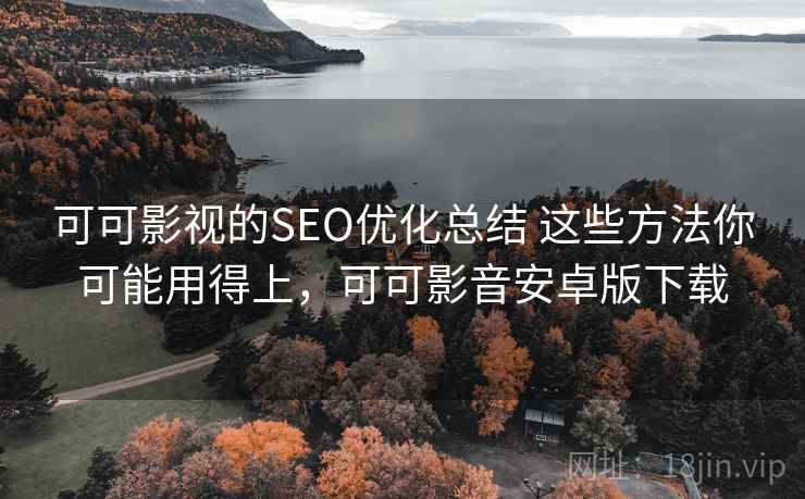 可可影视的SEO优化总结 这些方法你可能用得上，可可影音安卓版下载  第1张