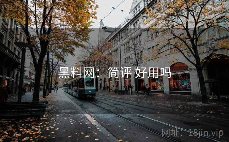 黑料网:简评 好用吗 第2张 黑料网:简评 好用吗 第2张