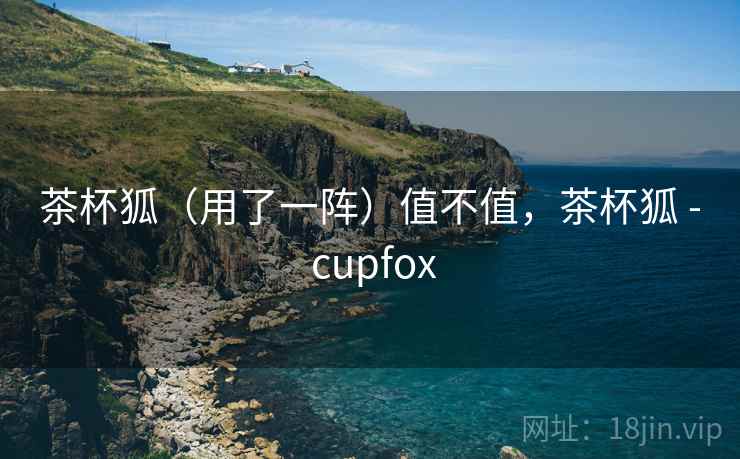 茶杯狐(用了一阵)值不值,茶杯狐 - cupfox 第2张 茶杯狐(用了一阵)值不值,茶杯狐 - cupfox 第2张
