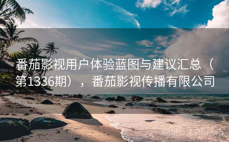 番茄影视用户体验蓝图与建议汇总（第1336期），番茄影视传播有限公司  第1张